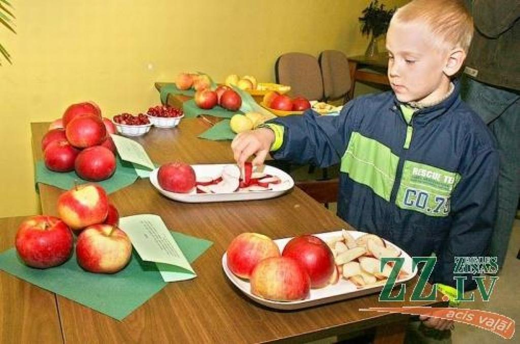 Kuras šķirnes āboli gardākie?
Autors: Agris Samcovs.