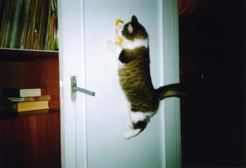 Hop un ķeru!
Autors: Armands J.