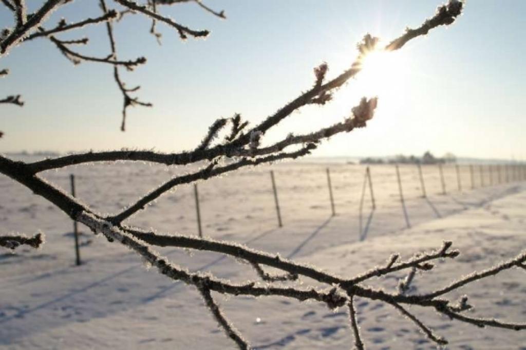 Ir vērts izjust visaptverošo dabas skaistumu...
Autors: Inga Karlinska