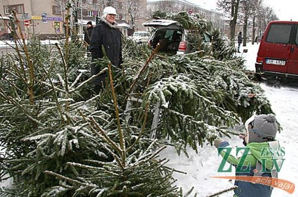 Sestdienas rītā Jelgavā, Hercoga Jēkaba laukumā tika atklāts tradicionālais Ziemassvētku tirdziņš, kurā ikviens varēja iegādāties svētku eglītes, piparkūkas, garšvielas, siltas adītās zeķes un citas noderīgas lietas. Sanākušos izklaidēja...