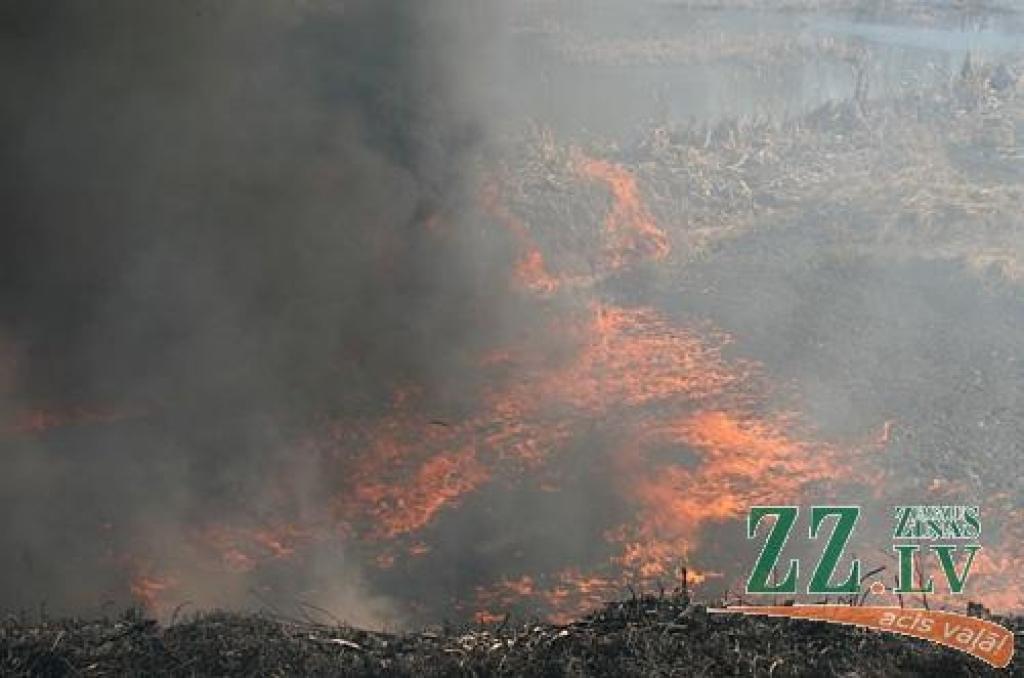 Ceturtdienas pievakarē Jelgavā, pie 5.līnijas kādreizējā šķidro toksisko atkritumu izgāztuvē nezināmi piromāni bija pamanījušies aizdedzināt kūlu, kā rezultātā aizdegās arī pirms daudziem gadiem apvidū izgāztās ķimikālijas. Dažu minūšu...