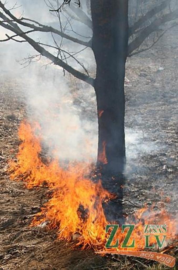 Neskatoties uz vairākkārtējiem brīdinājumiem nededzināt veco zāli, trešdien ap pusdienlaiku kāds Tušķos bija izlēmis rīkoties pretēji un pielaidis kūlai uguni.