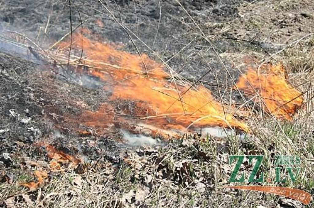 Neskatoties uz vairākkārtējiem brīdinājumiem nededzināt veco zāli, trešdien ap pusdienlaiku kāds Tušķos bija izlēmis rīkoties pretēji un pielaidis kūlai uguni.