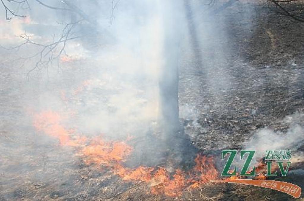 Neskatoties uz vairākkārtējiem brīdinājumiem nededzināt veco zāli, trešdien ap pusdienlaiku kāds Tušķos bija izlēmis rīkoties pretēji un pielaidis kūlai uguni.