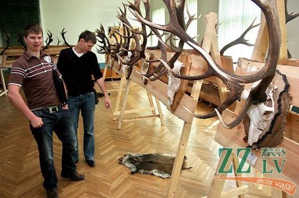 Šonedēļ Latvijas Lauksaimniecības universitātes (LLU) Meža fakultātē apskatāma medību trofeju izstāde, kas būs atvērta līdz sestdienai, 23.maijam. Izstādē izvietoti 146 eksponāti, kurus sarūpējuši LLU studenti, mācībspēki, absolventi un...