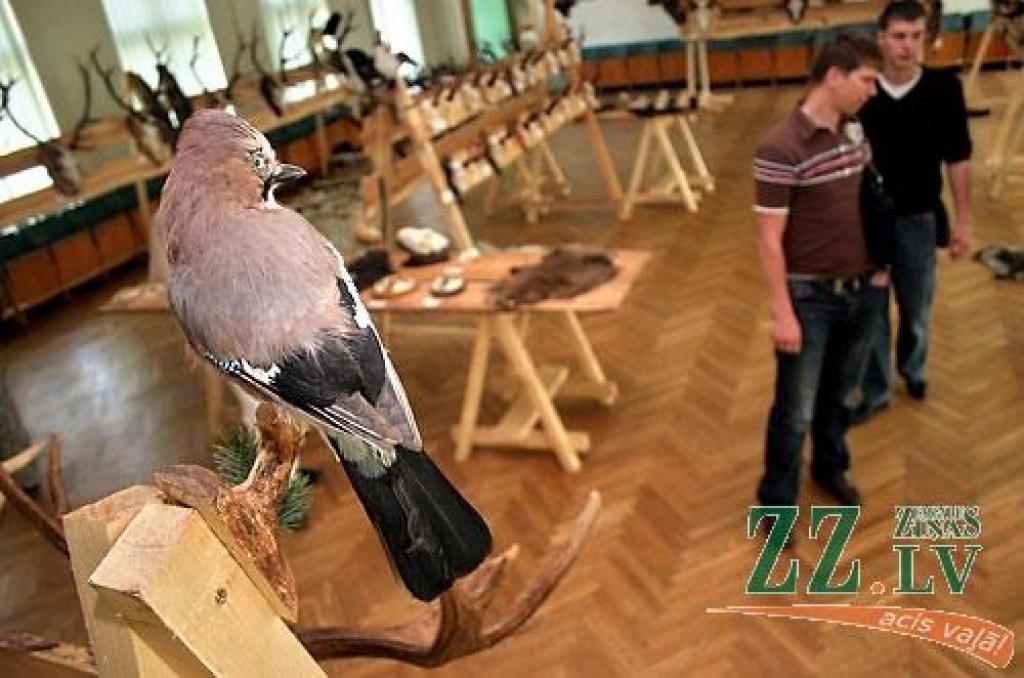 Šonedēļ Latvijas Lauksaimniecības universitātes (LLU) Meža fakultātē apskatāma medību trofeju izstāde, kas būs atvērta līdz sestdienai, 23.maijam. Izstādē izvietoti 146 eksponāti, kurus sarūpējuši LLU studenti, mācībspēki, absolventi un...