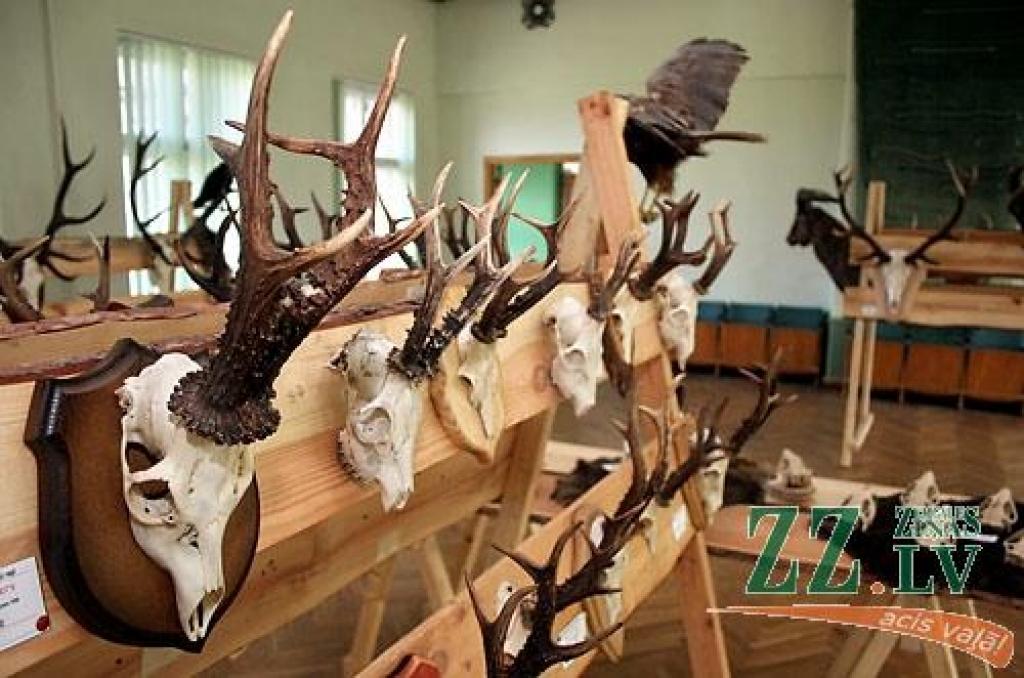 Šonedēļ Latvijas Lauksaimniecības universitātes (LLU) Meža fakultātē apskatāma medību trofeju izstāde, kas būs atvērta līdz sestdienai, 23.maijam. Izstādē izvietoti 146 eksponāti, kurus sarūpējuši LLU studenti, mācībspēki, absolventi un...