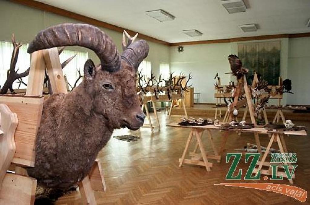 Šonedēļ Latvijas Lauksaimniecības universitātes (LLU) Meža fakultātē apskatāma medību trofeju izstāde, kas būs atvērta līdz sestdienai, 23.maijam. Izstādē izvietoti 146 eksponāti, kurus sarūpējuši LLU studenti, mācībspēki, absolventi un...