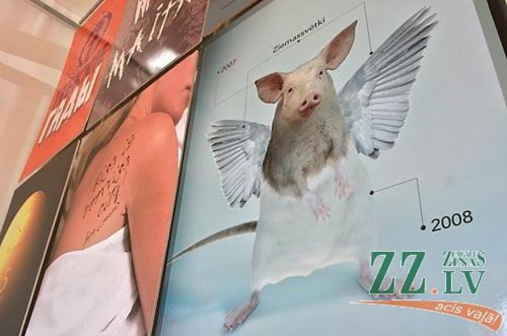 Galerijā «Suņa taka» līdz 21.maijam apskatāma plakātu mākslinieku apvienības «Suņa sirds» darbu izstāde. Māra Branča recenziju par izstādi lasiet trešdienas, 6.maija, «Zemgales Ziņās».
