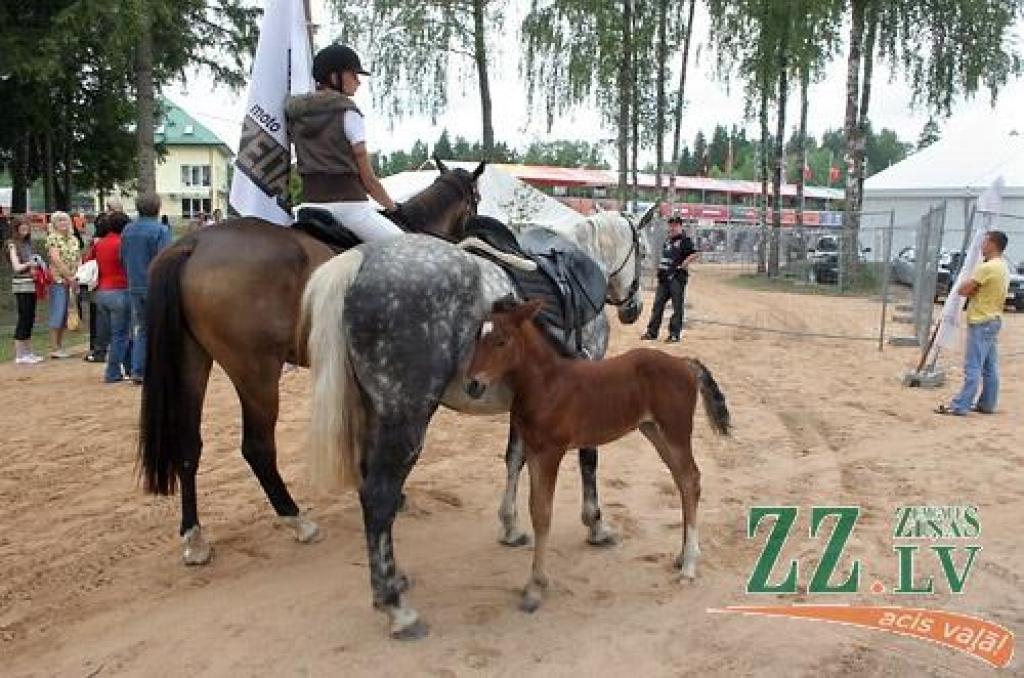 Fotomirkļi no nedēļas nogalē Ķeguma trasē «Zelta Zirga» aizvadītajām pasaules prestižākajām motokrosa sacīkstēm.