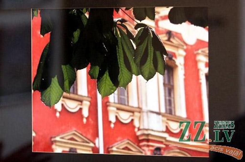 Interesentus joprojām aicina galerijā «Suņa taka» atvērtā izstāde «Skaties Jelgavu!», kurā aplūkojamas sešu autoru - Gunta Šdvītiņa, Harija Liepiņa, Ilmāra Drīliņa, Billija Loca, Jurģa Narvila un Kristapa Herca – fotogrāfijas. Izstāde būs...