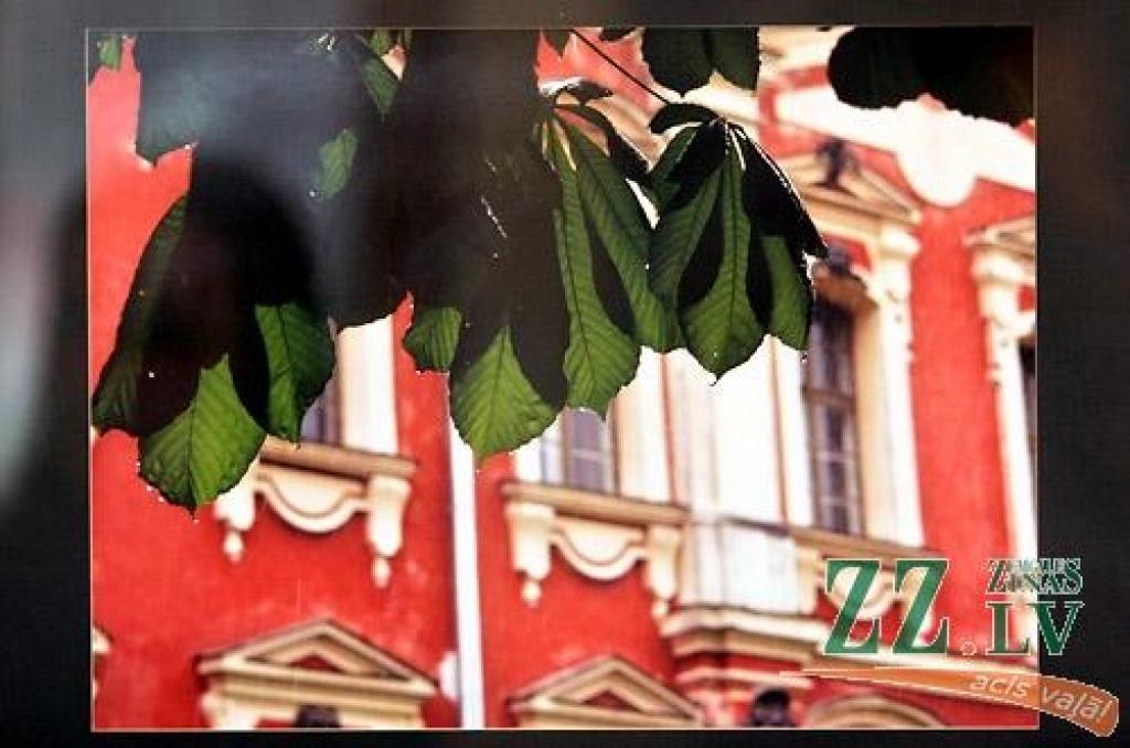 Interesentus joprojām aicina galerijā «Suņa taka» atvērtā izstāde «Skaties Jelgavu!», kurā aplūkojamas sešu autoru - Gunta Šdvītiņa, Harija Liepiņa, Ilmāra Drīliņa, Billija Loca, Jurģa Narvila un Kristapa Herca – fotogrāfijas. Izstāde būs...