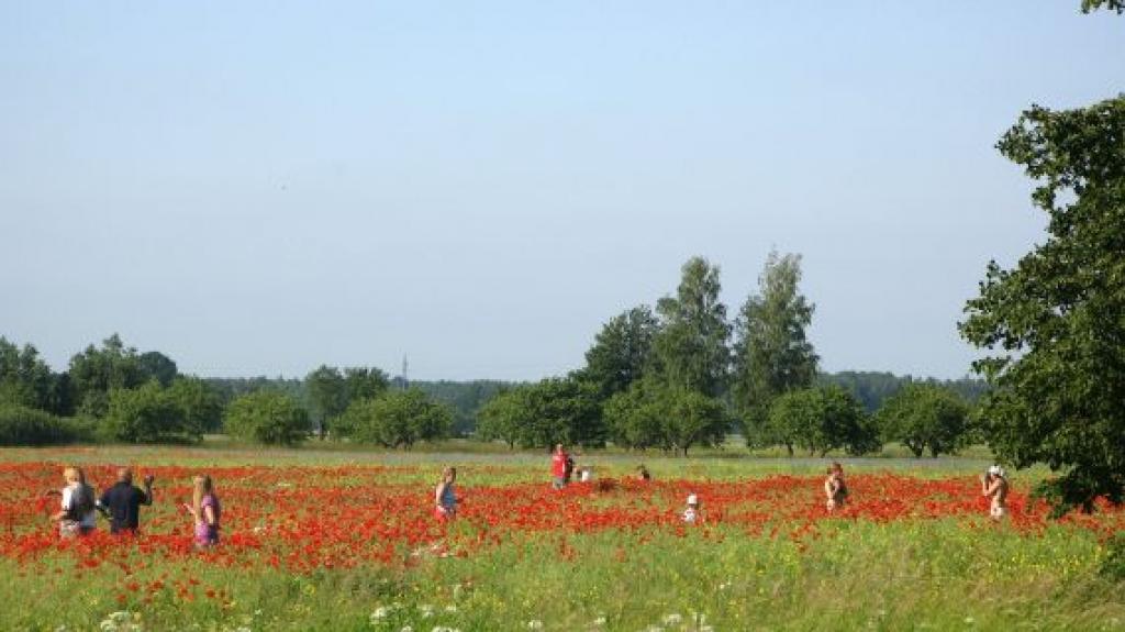 Autors: Evita  Puriņa