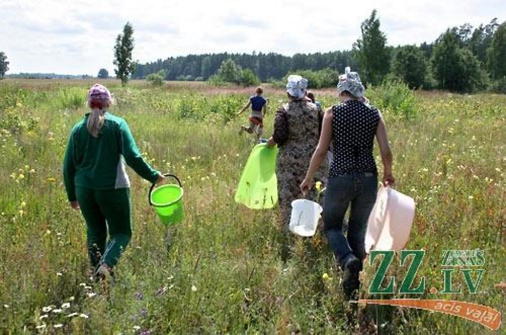 Radošo domu un darbu centrā «Svētelis» jaunieši gatavojas ziemai un šobrīd tur ir karstākais un aktīvākais konservēšanas laiks. Krājumi tiek gatavoti, lai ar tiem ziemā papildinātu labdarības virtuves ēdienkarti.