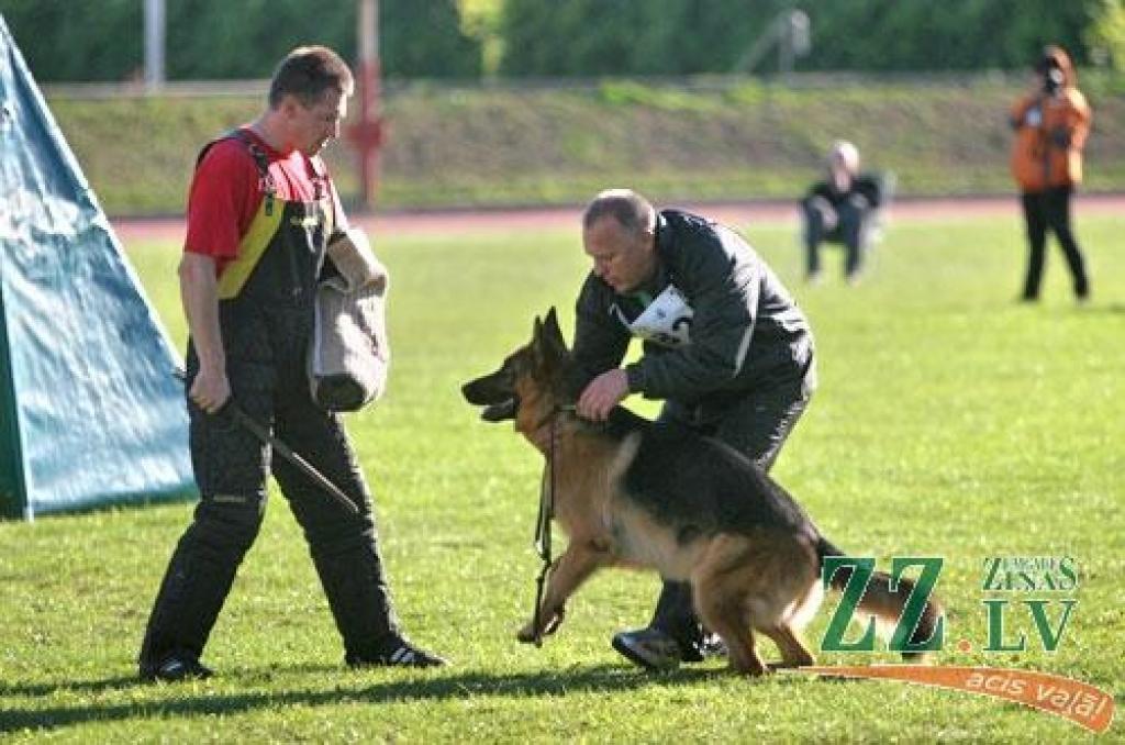 Nedēļas nogalē Ozolniekos aizvadīta sestā Baltijas valstu specializētā vācu aitu suņu šķirnes izstāde, kurā piedalījās šo dzīvnieku audzētāji no Latvijas, Lietuvas, Igaunijas, Krievijas, Baltkrievijas, Ukrainas, Vācijas un Zviedrijas.