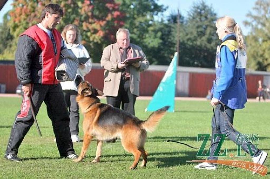 Nedēļas nogalē Ozolniekos aizvadīta sestā Baltijas valstu specializētā vācu aitu suņu šķirnes izstāde, kurā piedalījās šo dzīvnieku audzētāji no Latvijas, Lietuvas, Igaunijas, Krievijas, Baltkrievijas, Ukrainas, Vācijas un Zviedrijas.