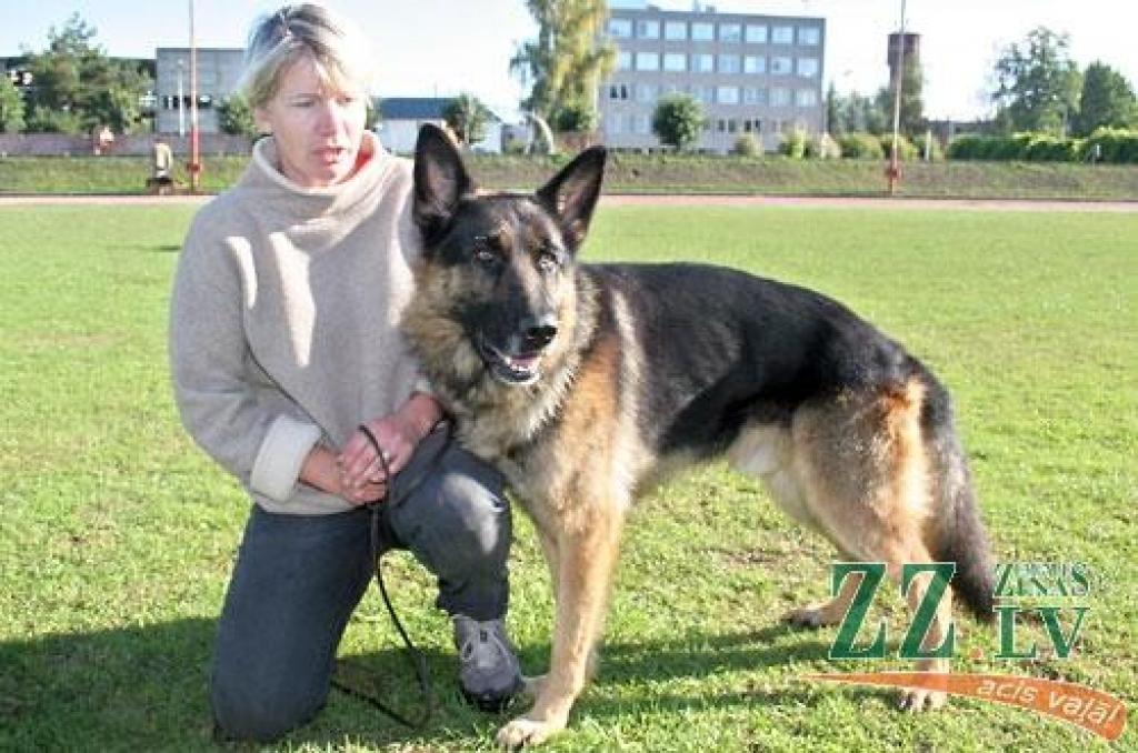 Nedēļas nogalē Ozolniekos aizvadīta sestā Baltijas valstu specializētā vācu aitu suņu šķirnes izstāde, kurā piedalījās šo dzīvnieku audzētāji no Latvijas, Lietuvas, Igaunijas, Krievijas, Baltkrievijas, Ukrainas, Vācijas un Zviedrijas.