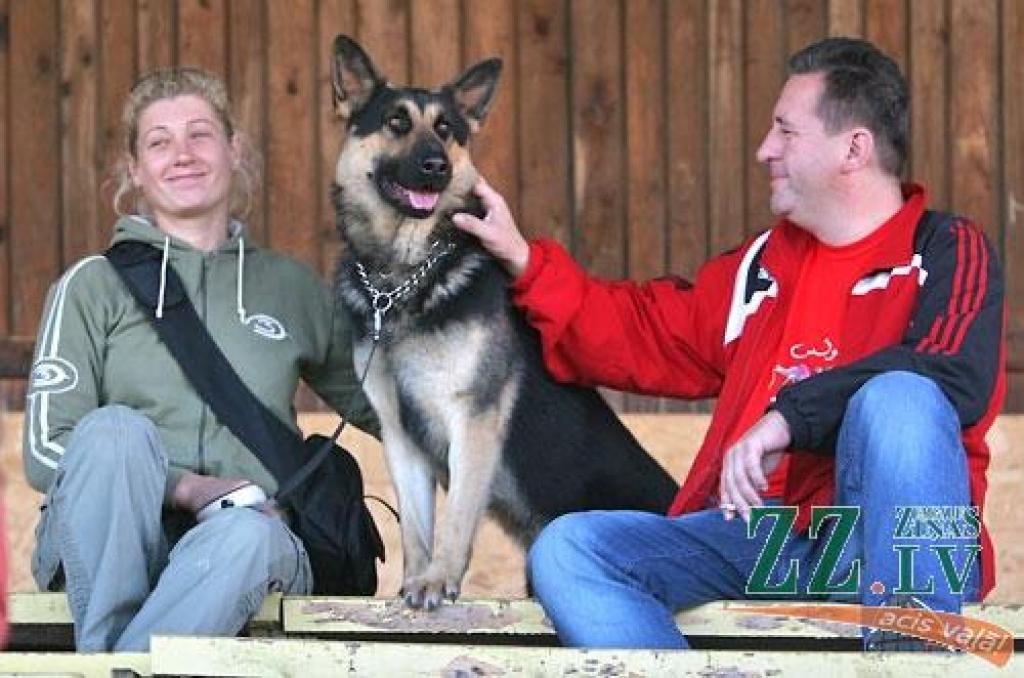 Nedēļas nogalē Ozolniekos aizvadīta sestā Baltijas valstu specializētā vācu aitu suņu šķirnes izstāde, kurā piedalījās šo dzīvnieku audzētāji no Latvijas, Lietuvas, Igaunijas, Krievijas, Baltkrievijas, Ukrainas, Vācijas un Zviedrijas.