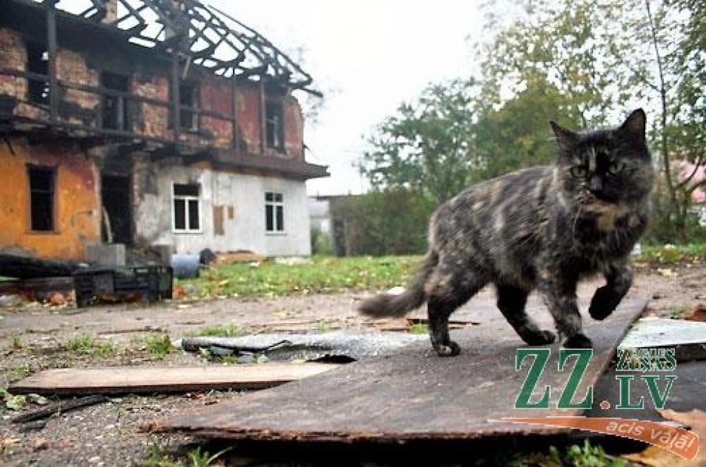 1.Mirklis no Latvijas Lauksaimniecības universitātes 70.jubilejas svinēšanas. (Mairas Dudarevas foto)
2.Mājas aiziet, kaķi paliek... (Agra Samcova foto)
3.Tiek īstenots rituāls krīzes aizdzīšanai. To jāveic gan pret rītiem, gan pret...
