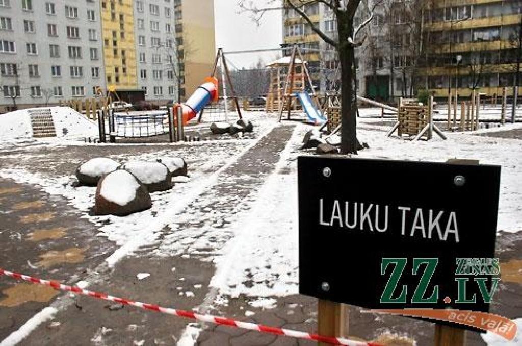 Kopš 12.novembra apmeklētājiem ir pieejams jaunais aktīvās atpūtas un vides izglītības laukums bērniem un pusaudžiem RAF dzīvojamā masīva Loka maģistrāles daudzdzīvokļu namu pagalmā. Projekta «Iesaisties un zini!» kopējās izmaksas ir 58...