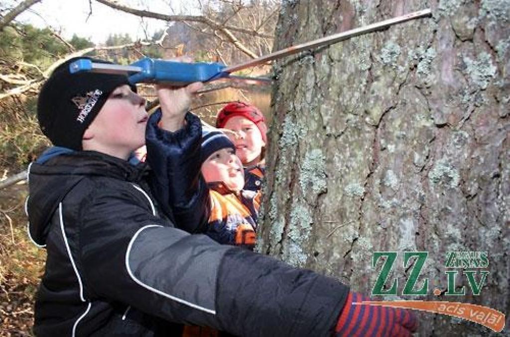 Salgales pamatskolas bērni ir ļoti zinoši, pēc mežā pavadīta vairāku stundu pārgājiena secina Valsts meža dienesta Konsultāciju pakalpojumu centra (KPC) speciālisti. Meža gidu vadībā 45 mazākie emburdznieki vakar vēroja rudens pārmaiņas...