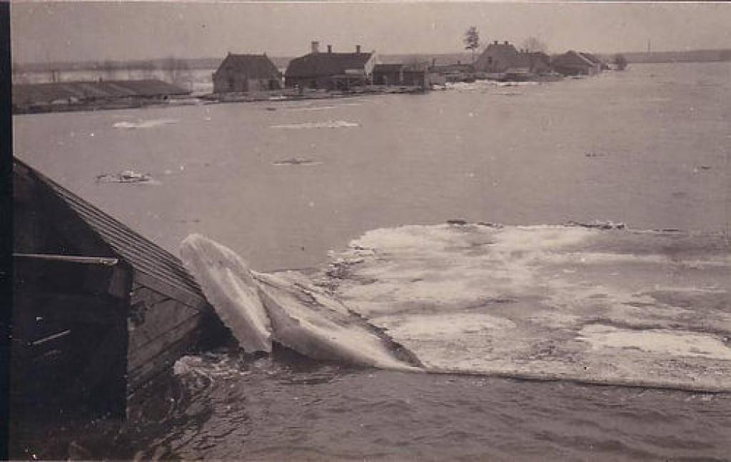 Autors: portāla zz.lv redaktors