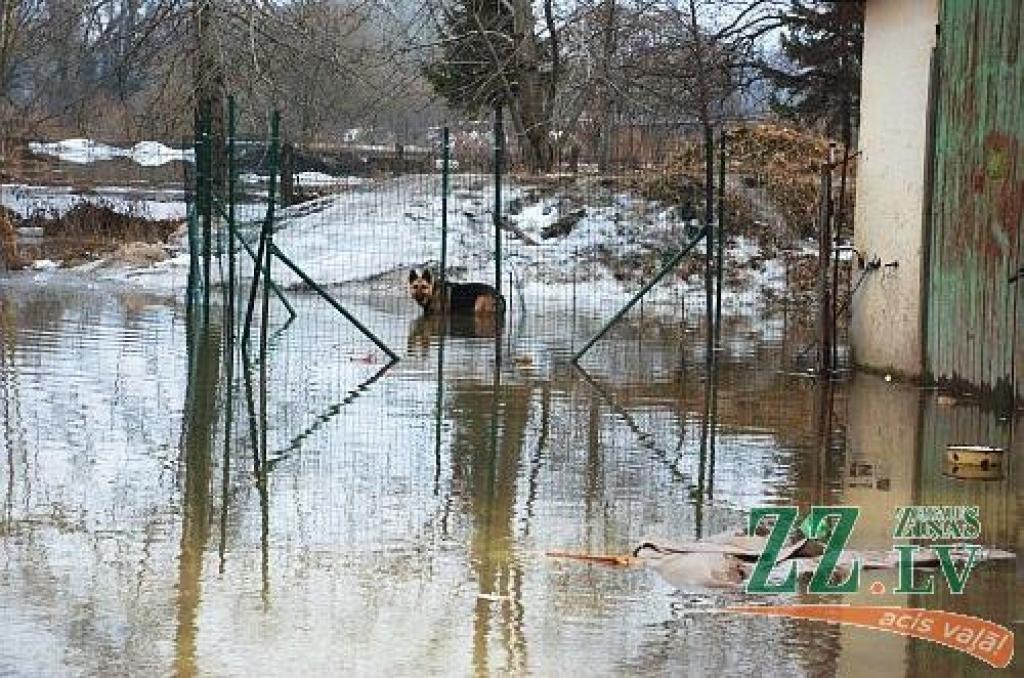 Šajās dienās Jelgavas Pašvaldības policijas darbiniekiem daudz vairāk rūpju bija jāvelta plūdos cietušajiem. Ar katru nākamo dienu aizvien vairāk bijis jāpārvietojas laivās nevis mašīnā.

Jau ziņots, ka ceturtdien Jelgavas Pašavaldības...