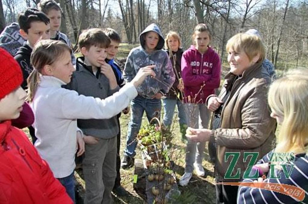 «Iestādi savu koku! Iemācies izgatavot putnu būrīti un arī ieklausies putnu balsīs! Proti rīkoties meža ugunsgrēka gadījumā!» šīs un vairākas citas ar mežu saistītas prasmes ceturtdien apguva 130 Vilces pamatskolas skolēni, sākot no...