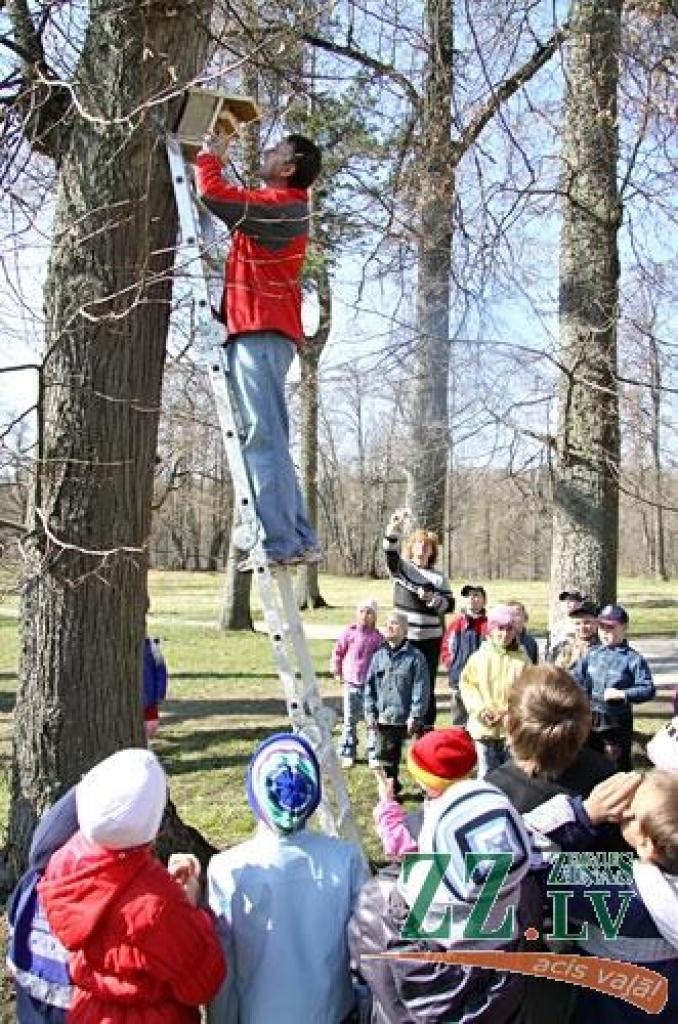 «Iestādi savu koku! Iemācies izgatavot putnu būrīti un arī ieklausies putnu balsīs! Proti rīkoties meža ugunsgrēka gadījumā!» šīs un vairākas citas ar mežu saistītas prasmes ceturtdien apguva 130 Vilces pamatskolas skolēni, sākot no...