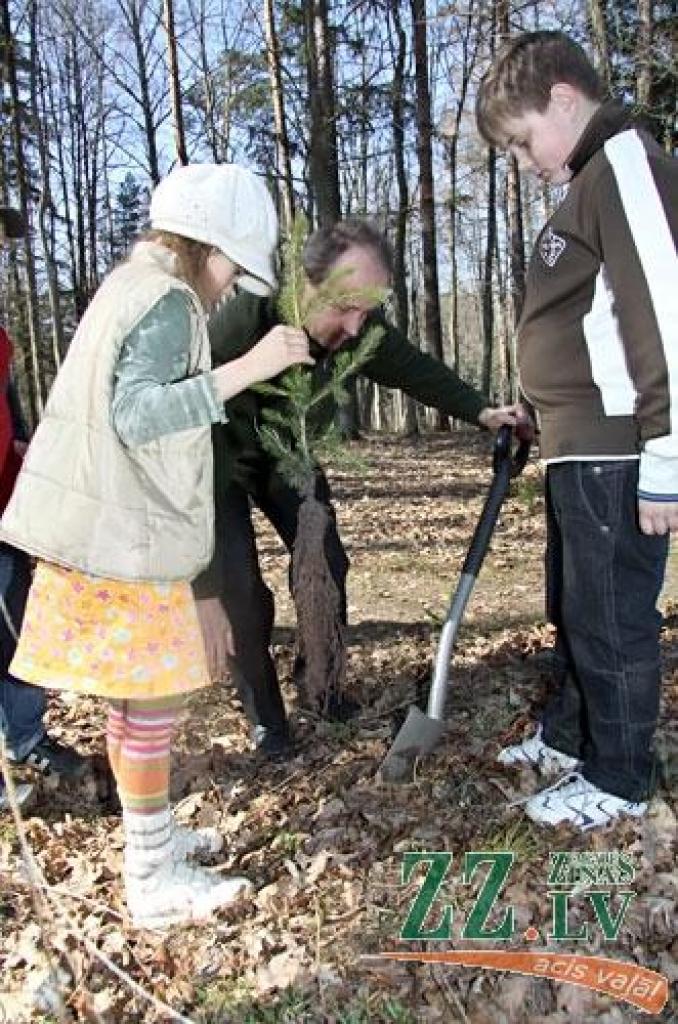 «Iestādi savu koku! Iemācies izgatavot putnu būrīti un arī ieklausies putnu balsīs! Proti rīkoties meža ugunsgrēka gadījumā!» šīs un vairākas citas ar mežu saistītas prasmes ceturtdien apguva 130 Vilces pamatskolas skolēni, sākot no...