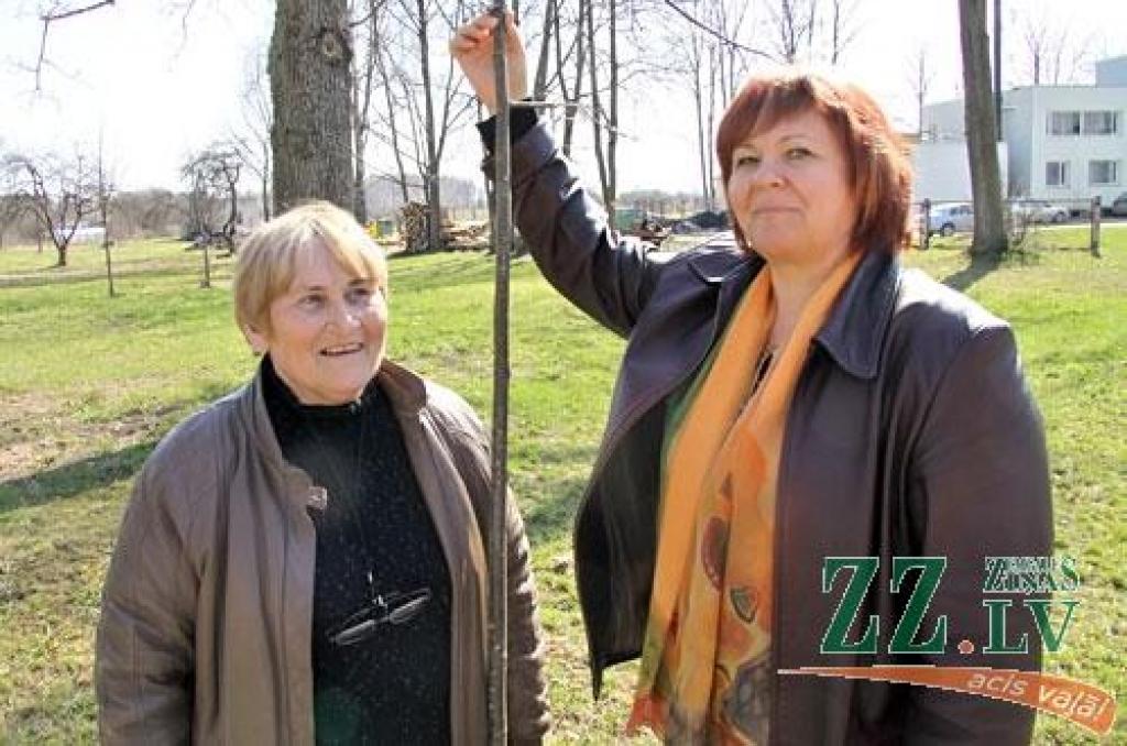 «Iestādi savu koku! Iemācies izgatavot putnu būrīti un arī ieklausies putnu balsīs! Proti rīkoties meža ugunsgrēka gadījumā!» šīs un vairākas citas ar mežu saistītas prasmes ceturtdien apguva 130 Vilces pamatskolas skolēni, sākot no...