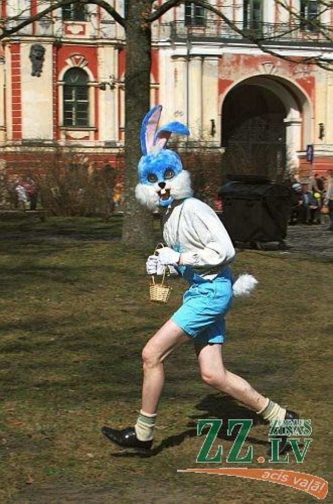 Jelgavas pils parks atkal pulcēja ģimenes uz olu ripināšanām, šūpolēm un citām izdarībām. Šķiet nu jau par gadskārtēju tradīciju kļuvis jautrais gaišzilais zaķis, kas jautri lēkā pie bērniem, un ar savu vasarīgo tērpu liek noprast, ka...