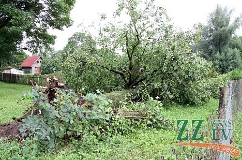 Otrdienas vakara negaiss, ko pavadīja spēcīgs vējš un lietus, daudzviet pārpludinājis dārzus, laukus, lauzis kokus vai to zarus, kā arī sagāzis veldrē labību.
Valsts ugunsdzēsības un glābšanas dienests saņēmis trīs izsaukumus par vētrā...