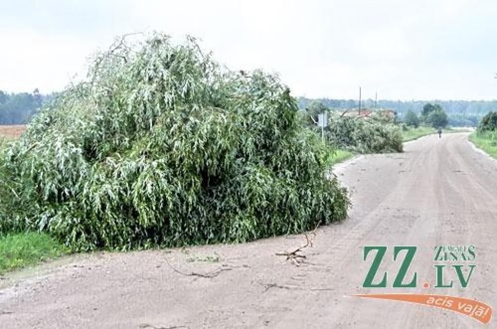 Otrdienas vakara negaiss, ko pavadīja spēcīgs vējš un lietus, daudzviet pārpludinājis dārzus, laukus, lauzis kokus vai to zarus, kā arī sagāzis veldrē labību.
Valsts ugunsdzēsības un glābšanas dienests saņēmis trīs izsaukumus par vētrā...