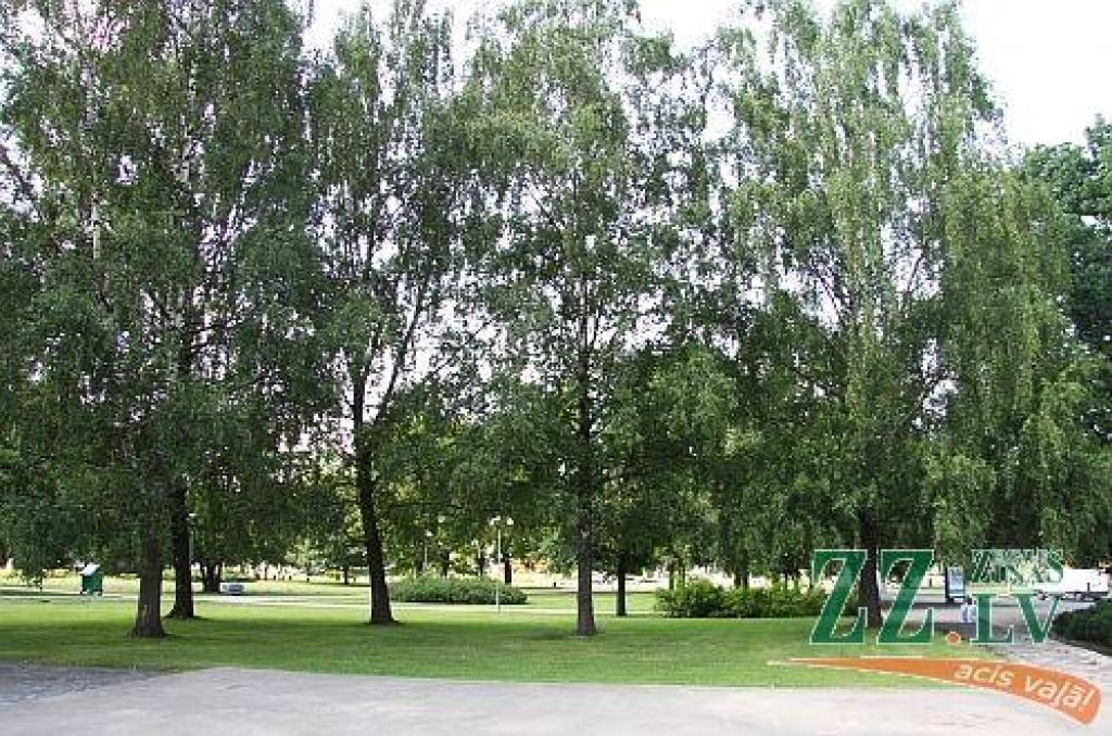 Šoreiz vecajā attēlā redzam to Uzvaras ielas daļu, kuras mūsdienās vairs nav, jo tā vestu no Lielās ielas, iepretim Katoļu ielai, pāri tagadējam Hercoga Jēkaba laukumam, kas redzams tajā pašā pilsētainavā jaunajā attēlā. Ielas sākumā abās...