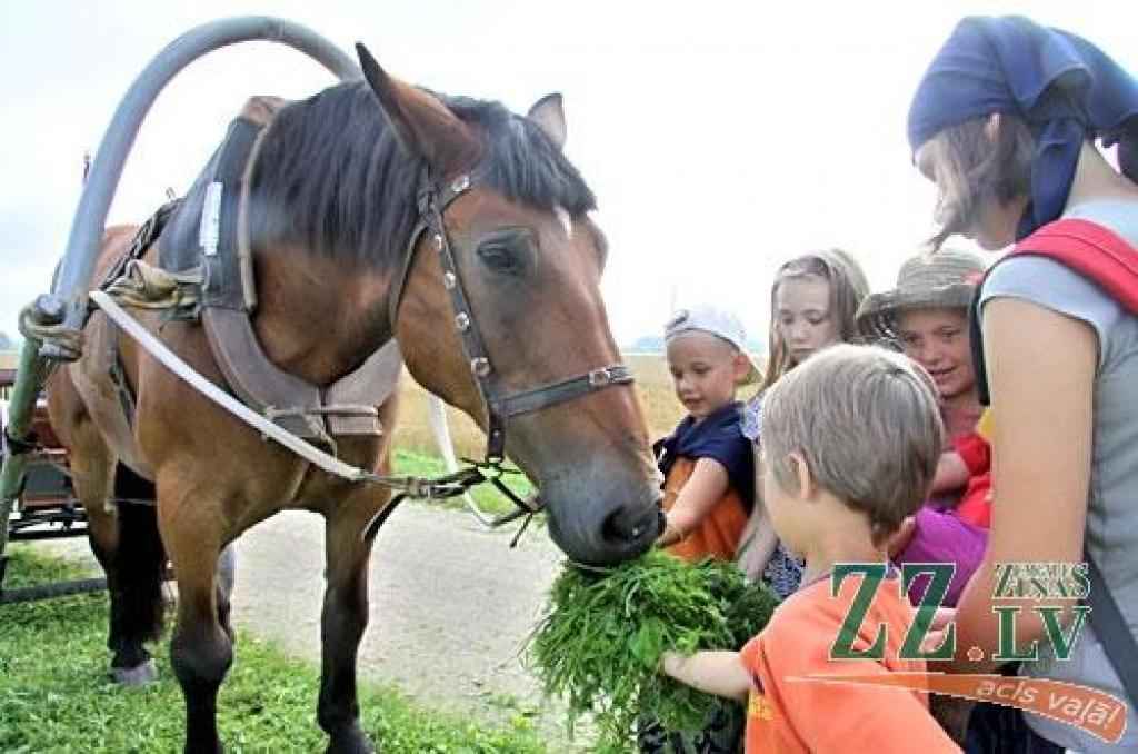 Svētdien no Bezvainīgās Jaunavas Marijas katedrāles Jelgavā vairāk nekā 300 kilometru garajā ceļā uz Aglonu devās Jelgavas svētceļnieku grupa. Pirmo nakti pavadījuši Staļģenē, pirmdien gājēji devās tālāk pa Sidrabenes un Mežotnes pagastu...