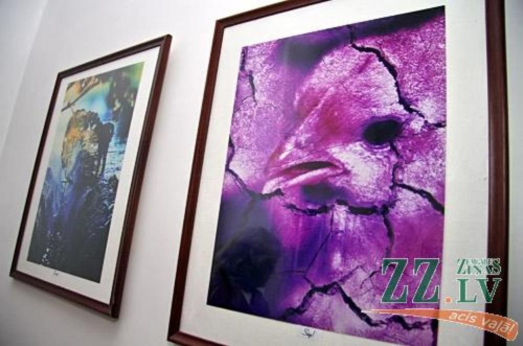 Vecpilsētas galerijā «Su.Ta» jeb pilnā nosaukumā «Suņa taka» gleznu izstādi nomainījušas fotogrāfijas – kopš piektdienas tajā skatāmi jelgavnieka Haralda Smilgas darbi.
Izstādes atklāšana piektdienas pēcpusdienā pulcēja neparasti daudz...