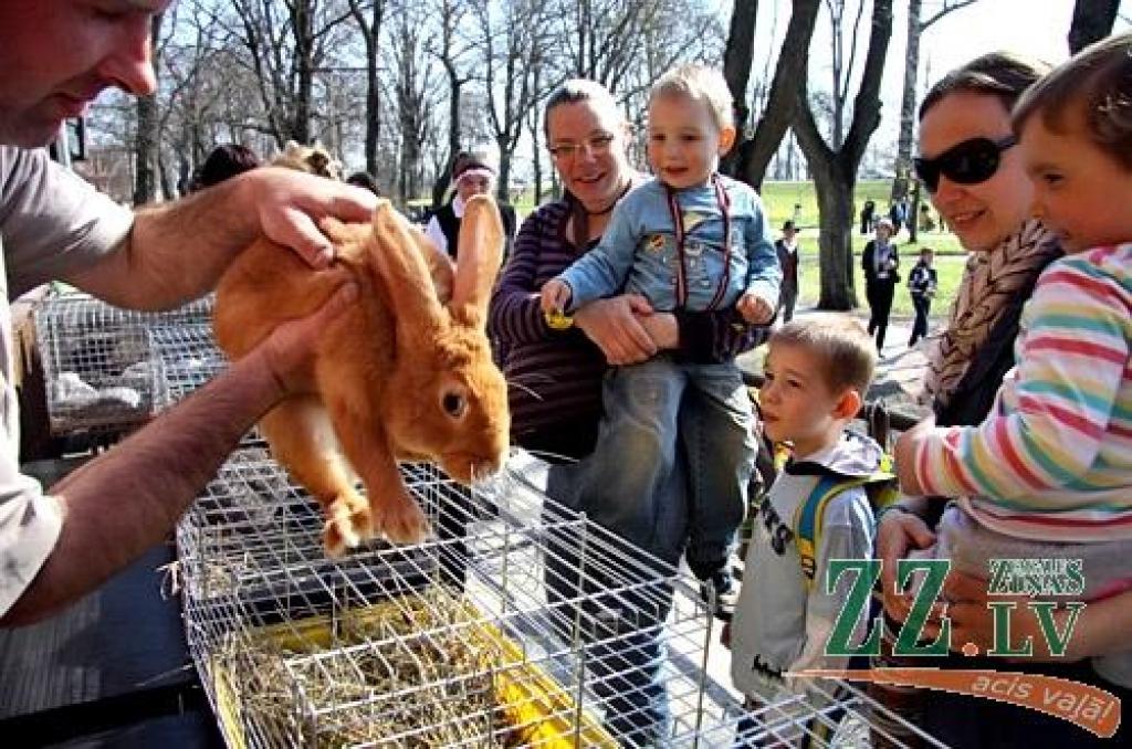 Ikgadējā Lieldienu pastaiga, kas Jelgavas pils parkā notika jau astoņpadsmito reizi, jaukajā pavasara laikā pulcēja daudz interesentu. Šūpošanās un olu ripināšana, radošās darbnīcas, atrakcijas un konkursi – šādas izklaides piedāvāja...