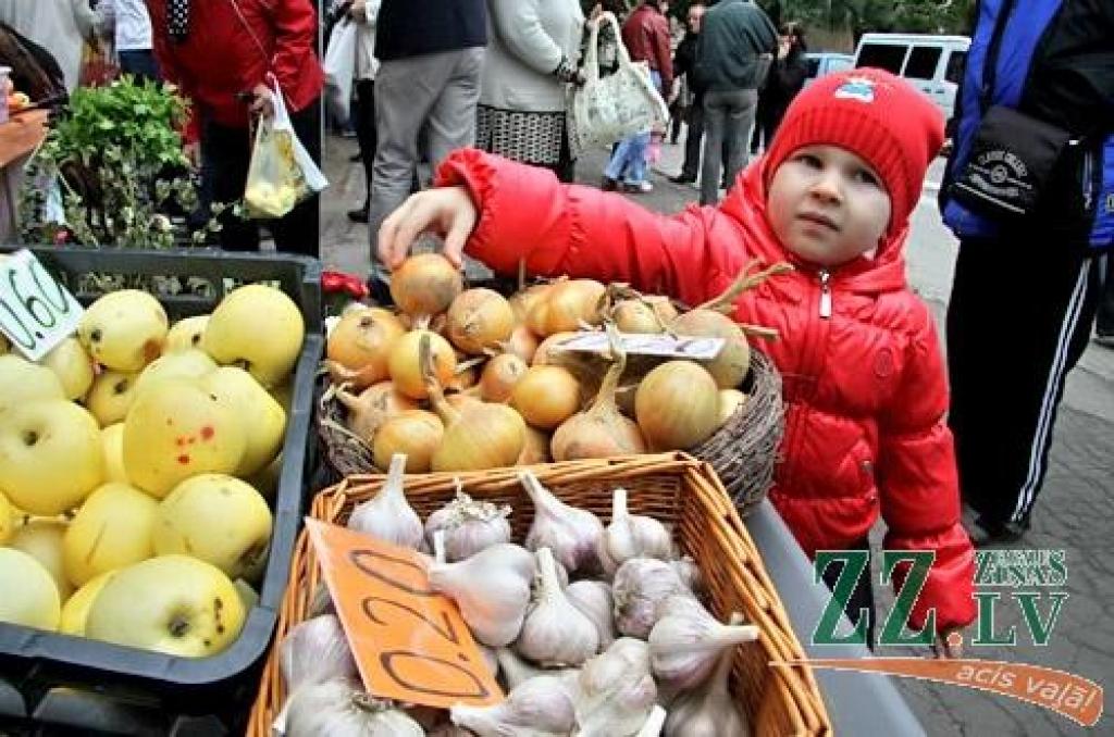 Līdz pašiem Miķeļiem gan vēl pusotra nedēļa, tomēr jelgavnieki nolēma daudz nekavēties un tradicionālo gadatirgu «Miķeļdienu gaidot!» Hercoga Jēkaba laukumā sarīkoja jau 17. septembrī – Saeimas ārkārtas vēlēšanu sestdienā. Droši vien tas...