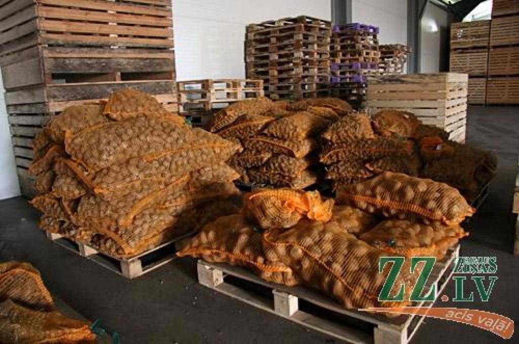 Autors: Agris Samcovs