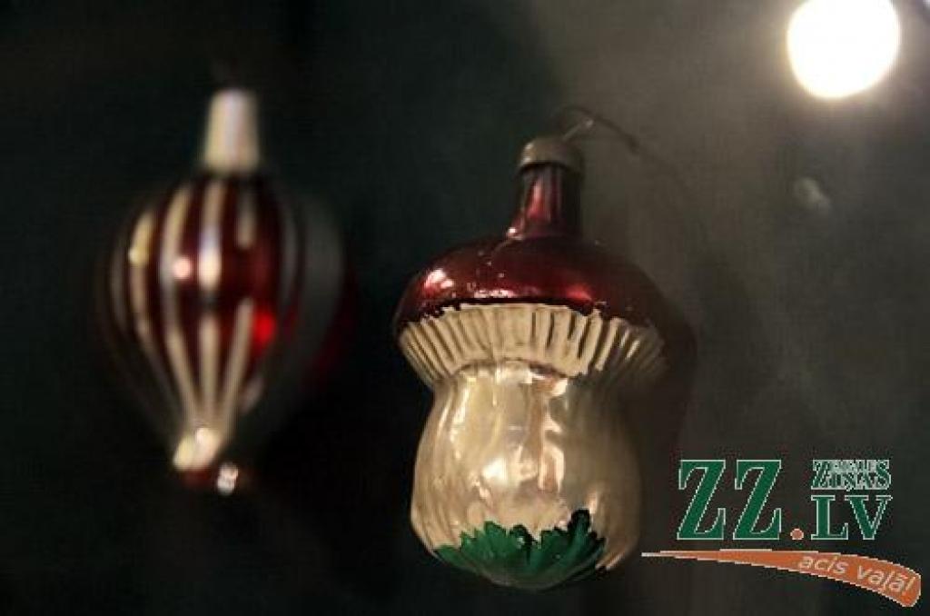 Vēl jaunajā gadā Ģederta Eliasa Jelgavas Vēstures un mākslas muzejā būs skatāma Ziemassvētku eglīšu rotājumu izstāde, kas daudziem jelgavniekiem atgādinās par bērnības un jaunības gadiem.
Čiekurus, lāstekas, sēnītes un citas interesantas...