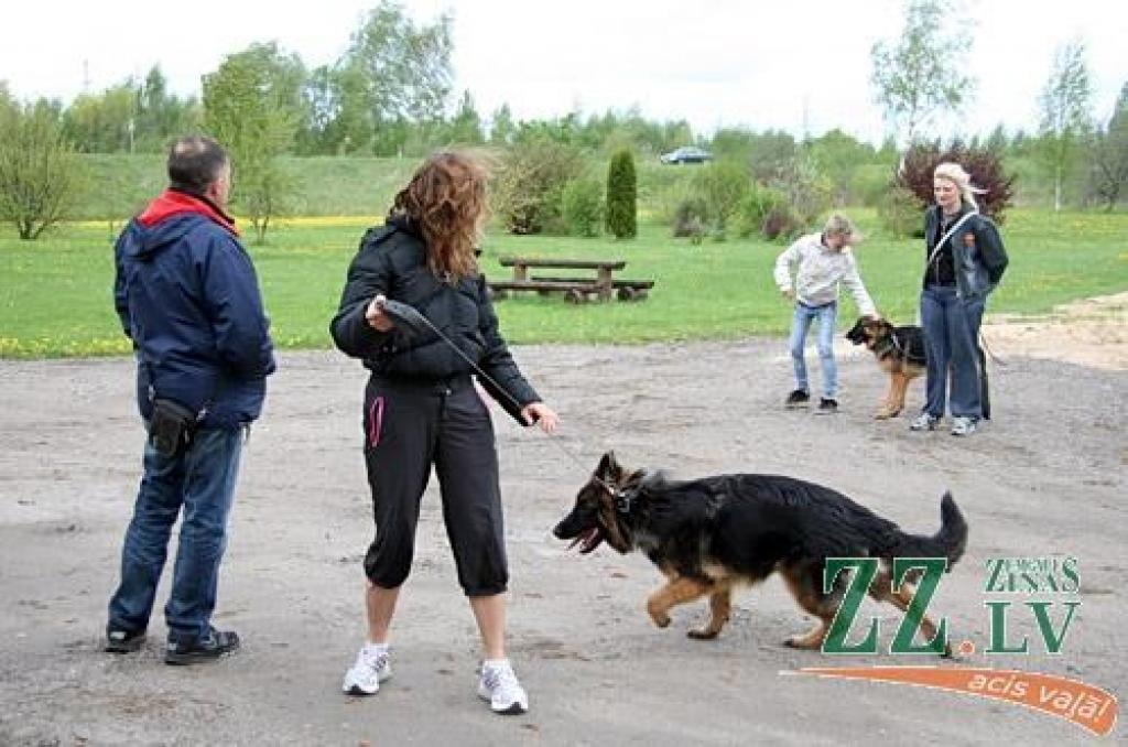 Sestdien un svētdien Jaunsvirlaukas pagasta «Līčos» notiek gadskārtējā Latvijas Vācu aitu suņu kluba izstāde. Šogad tā pulcē dalībniekus no Latvijas, Lietuvas, Igaunijas, Somijas, Krievijas, Ukrainas un Vācijas. Dalību izstādē pieteikuši...