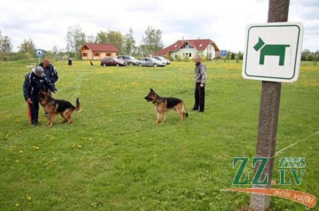 Sestdien un svētdien Jaunsvirlaukas pagasta «Līčos» notiek gadskārtējā Latvijas Vācu aitu suņu kluba izstāde. Šogad tā pulcē dalībniekus no Latvijas, Lietuvas, Igaunijas, Somijas, Krievijas, Ukrainas un Vācijas. Dalību izstādē pieteikuši...