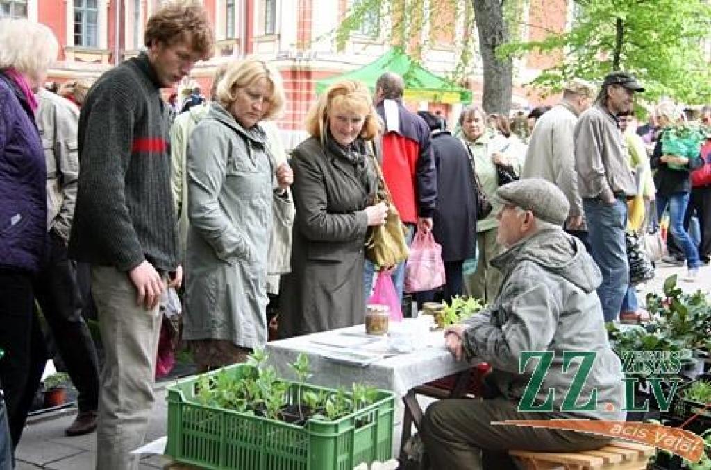 Autors: Agris Samcovs