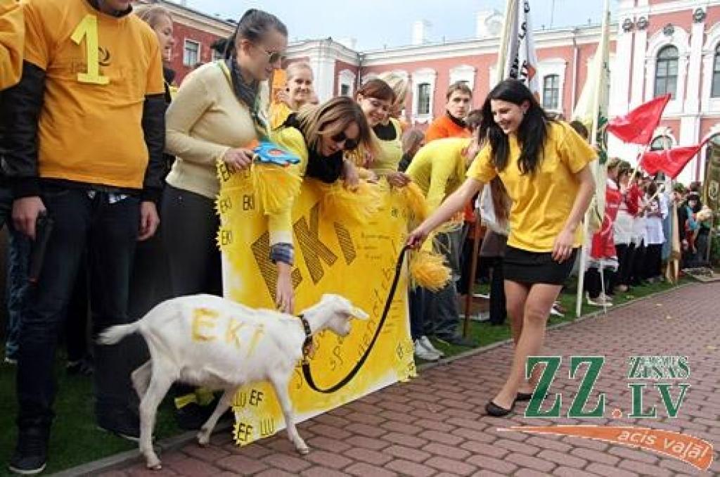 45.Azemitologa svētku galveno – lielo – balvu izcīnījuši pirmā kursa studenti no Tehniskās fakultātes (TF). Mazās balvas ieguvēji – Veterinārmedicīnas fakultāte
LLU zinību vīrs Azemitologs 45.reizi Jelgavas pils pagalmā aicināja iesoļot...
Autors: Agris Samcovs
