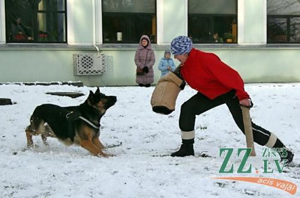 Labākie Zemgales policisti 6.decembrī no iekšlietu ministra Riharda Kozlovska un Valsts policijas priekšnieka Inta Ķuža saņēma pateicības vārdus un apbalvojumus. Atzīmējot Valsts policijas 94.gadadienu, svētku sajūta radīta arī mazākajiem...
Autors: Agris Samcovs