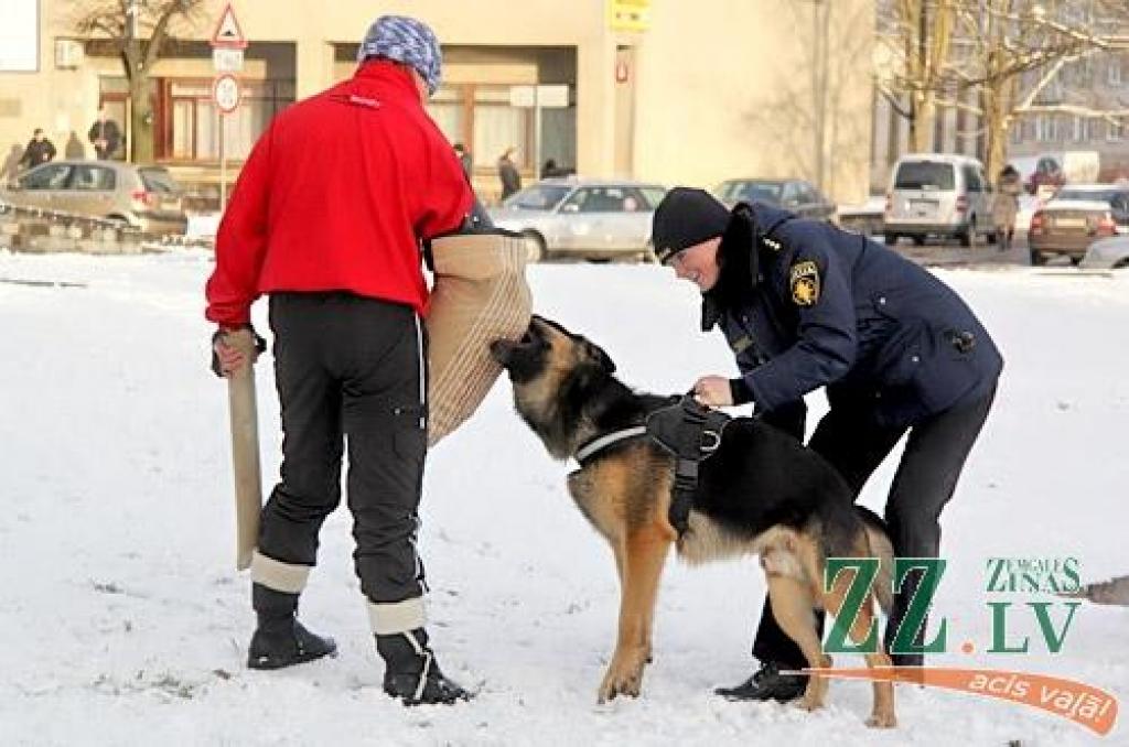Labākie Zemgales policisti 6.decembrī no iekšlietu ministra Riharda Kozlovska un Valsts policijas priekšnieka Inta Ķuža saņēma pateicības vārdus un apbalvojumus. Atzīmējot Valsts policijas 94.gadadienu, svētku sajūta radīta arī mazākajiem...
Autors: Agris Samcovs