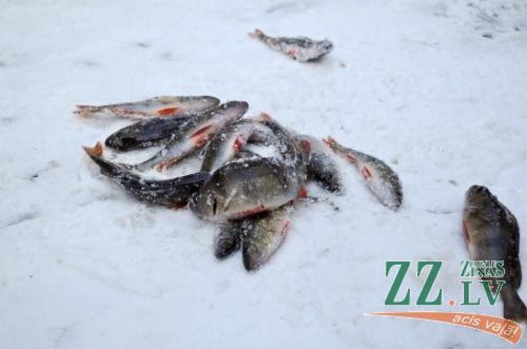 23.februārī vairāki desmiti copmaņu uz Lielupes ledus cīnījās par Jelgavas zemledus makšķerēšanas čempiona titulu. Uzvarētājs savā īpašumā ieguva 200 latu dāvanu karti, pie citām balvām tika arī citi sacensību dalībnieki.
