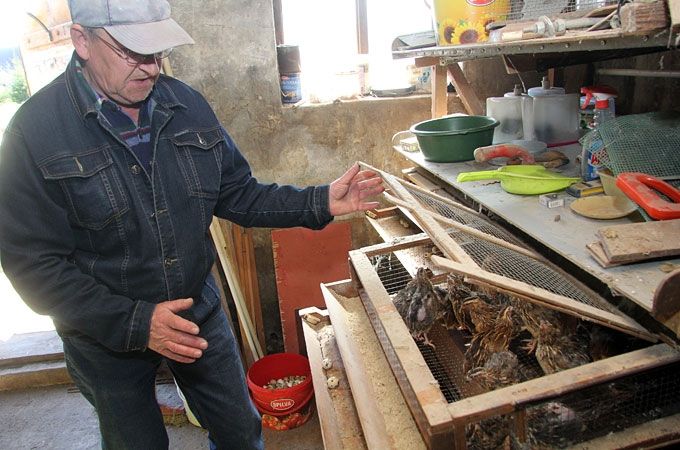 Autors: Agris Samcovs