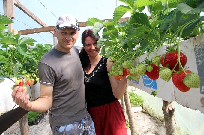Autors: Agris Samcovs